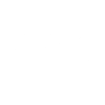 Savage Dynamic | Strategic Advisory That Delivers